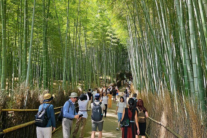Kyoto's Arashiyama Bamboo Grove: 3-Hour Guided Tour - Should you book the Arashiyama Bamboo Grove 3-hour guided tour?