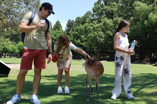 Luxury Kyoto 1-Day Private Car Tour with Nara & Osaka Options - Arashiyama Area + Togetsukyo Bridge: Neighborhood Time, Not Just a Landmark