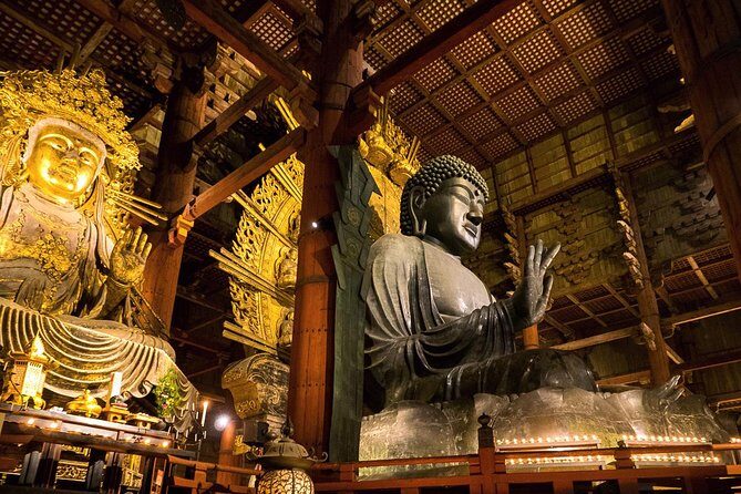 Nara 8hr Private Tour - Kyoto DEP. with Licensed Guide - Who this tour is best for