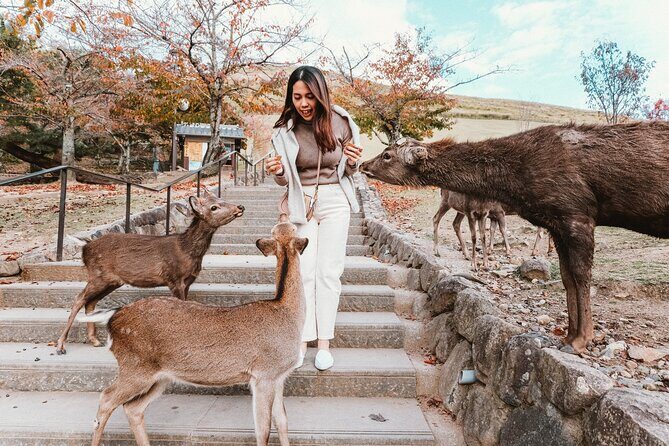 Nara Park, Osaka & Kobe from Kyoto Full Day tour - Osaka Castle walk: what’s included and what to budget