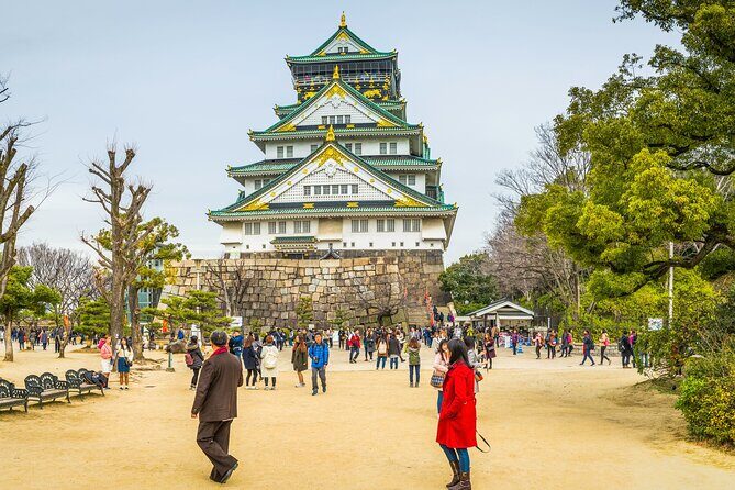 Nara Park, Osaka & Kobe from Kyoto Full Day tour - Kobe free time: beef focus plus a slower change of pace
