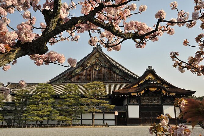 Nijo Castle Samurai Inside Story — Top-Rated Guide (Max 8) - How “secret tales” gets practical inside Nijo Castle