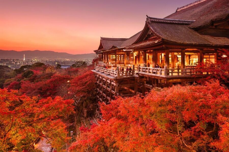 One Day Private Customized Self-Guided Tour in Kyoto - Kyoto on Your Schedule, With a Private Driver