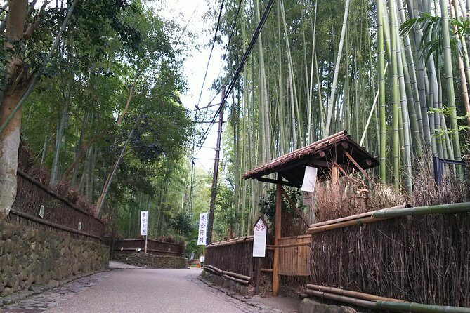 One-Day Walking Tour : Enjoy Kyoto to the fullest! - What to pack for a long walking day in Kyoto