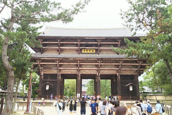 One-Day Walking Tour of Amazing 8th Century Capital Nara - Key reasons to love this one-day Nara walking tour