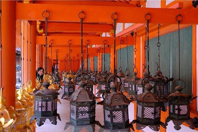 One-Day Walking Tour of Amazing 8th Century Capital Nara - The guides make a difference: the flexibility you’ll feel