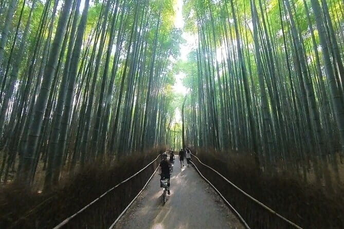 ONLY YOU in the Bamboo Forest! 4 hours E-bike tour with a local - Stop-by-stop: Arashiyama Bamboo Forest to Tenryu-ji on one smooth circuit