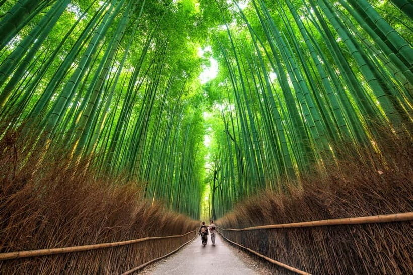Osaka/Kyoto: Katsuoji, Kinkakuji, Arashiyama 1-Day Bus Tour - Timing and walking tips for a 9–10 hour day