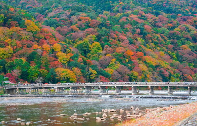 Osaka/Kyoto: Katsuoji, Kinkakuji, Arashiyama 1-Day Bus Tour - Price and logistics: what $56 covers, and what you’ll pay extra