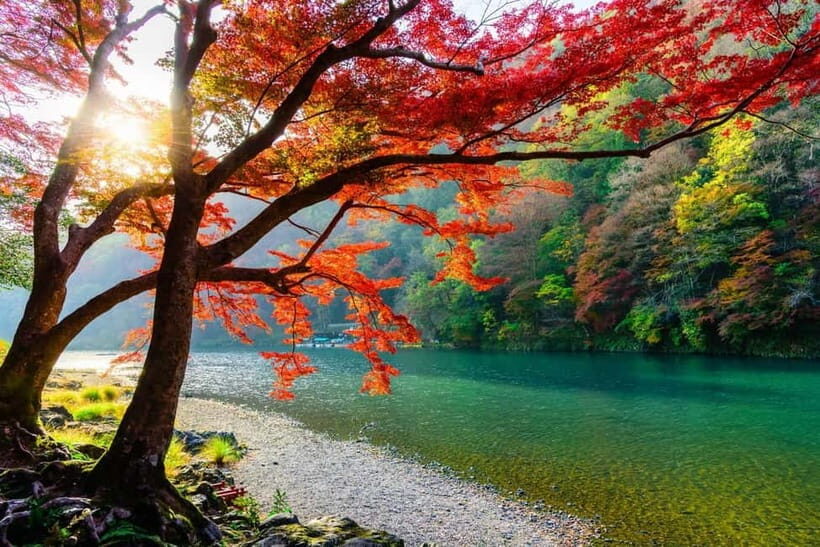 Osaka/Kyoto: Katsuoji, Kinkakuji, Arashiyama 1-Day Bus Tour - Who this tour suits best (and who should think twice)