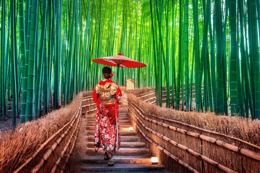 Osaka/Kyoto: Private Kyoto and Nara Day Trip - Arashiyama Bamboo Forest: One Hour That Changes the Pace