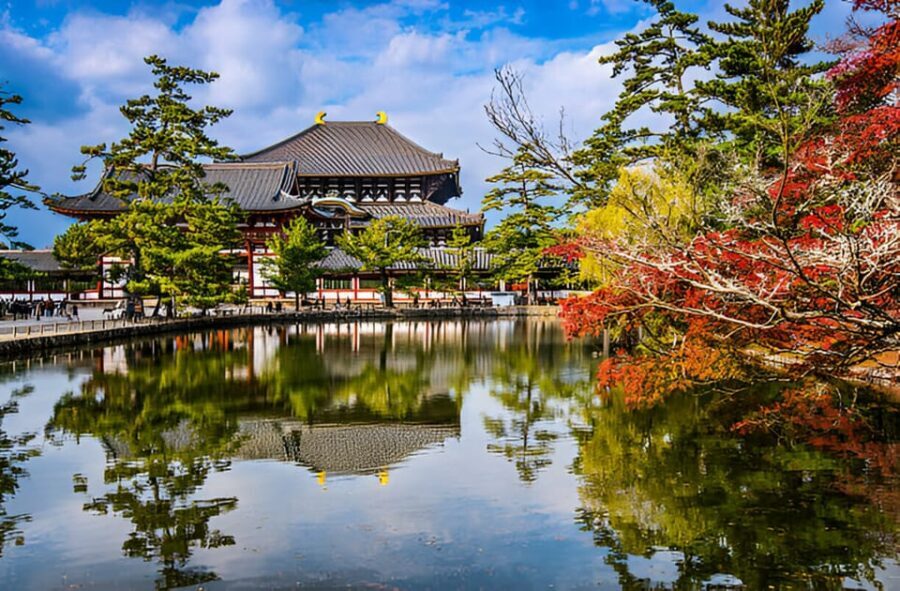 Osaka/Kyoto: Private Kyoto and Nara Day Trip - Kasuga-taisha Shrine: Lanterns, Atmosphere, and a Slower Rhythm