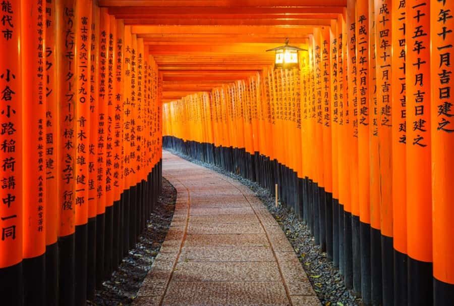 Osaka/Kyoto:Kinkakuji,Arashiyama,FushimiInariShrine,NaraPark - Key highlights to watch for