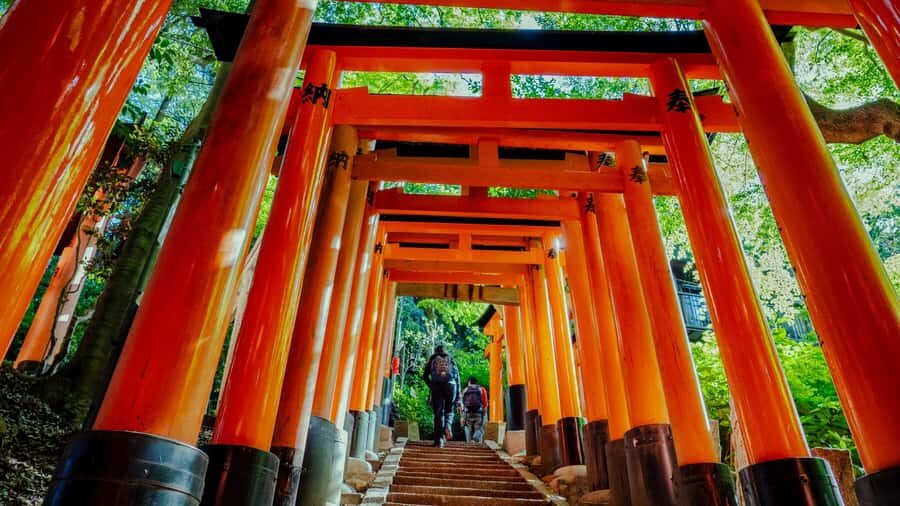 Osaka/Kyoto:Kinkakuji,Arashiyama,FushimiInariShrine,NaraPark - From Osaka or Kyoto: a single-day best-of circuit
