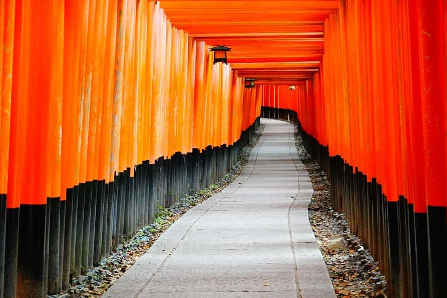 Osaka/Kyoto:Kinkakuji,Arashiyama,FushimiInariShrine,NaraPark - Arashiyama Bamboo Grove: walk it, don’t rush it