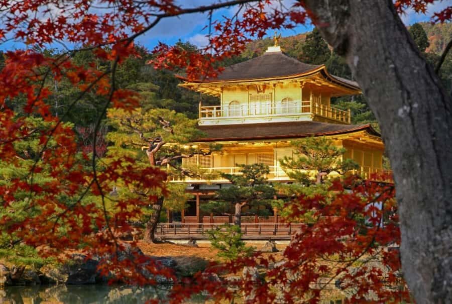 Osaka/Kyoto:Kinkakuji,Arashiyama,FushimiInariShrine,NaraPark - Price and logistics: is $66 per person good value?