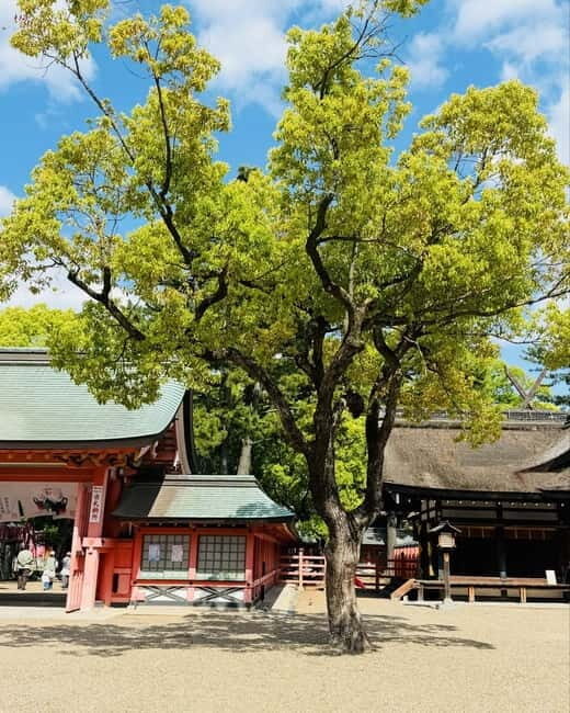 Osaka & Nara: Private Tour with English speaking guide - Price and logistics: is $455 per group good value?