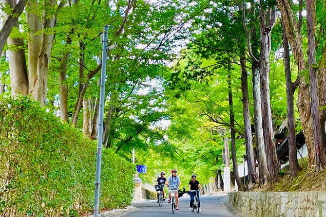 Pedal Adventure Kyoto's iconic landmarks on an e-bike tour - Fushimi Inari-taisha and its shrine gates: more than a photo stop
