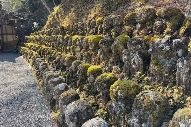 Pedal Adventure Kyoto's iconic landmarks on an e-bike tour - What you learn on the ride (beyond the stops)