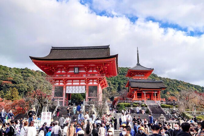 PERFECT KYOTO 1-Day Bus Tour - On the coach: comfort, WiFi, and language support