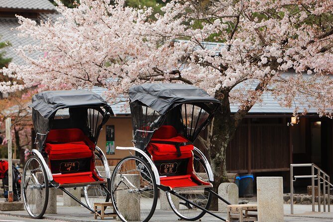 Private Custom Tour: Kyoto in One Day - Quick hits