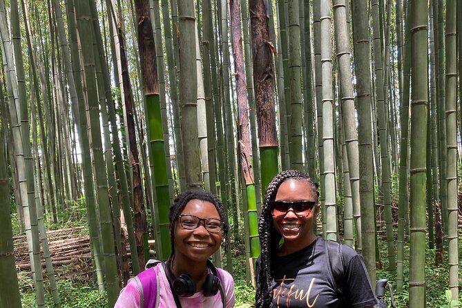 Private Custom Tour: Kyoto in One Day - Choosing Your UNESCO Hit List: Kinkaku-ji, Nijo Castle, Fushimi Inari