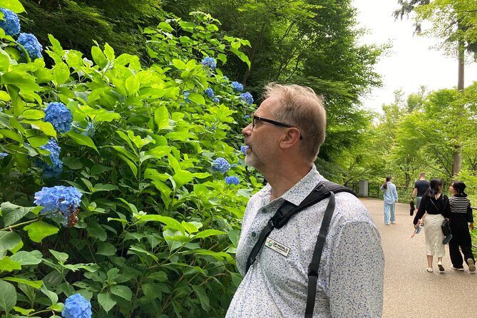 Private Custom Tour: Kyoto in One Day - Tenryu-ji and Kiyomizu-dera: Two UNESCO Stops with Very Different Feel