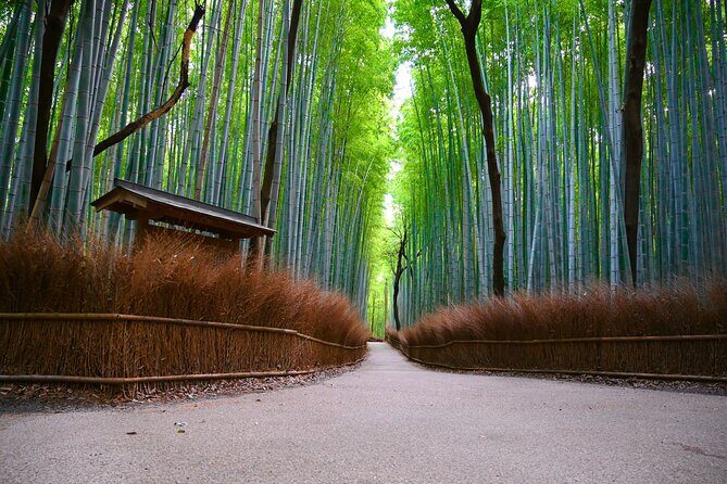 Private Day Tour - Kyoto Arashiyama & Bamboo Forest Perfect Tour! - Key Highlights Worth Your Time