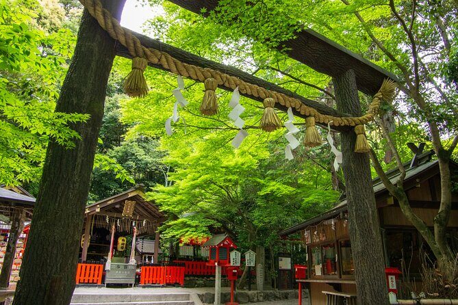 Private Day Tour - Kyoto Arashiyama & Bamboo Forest Perfect Tour! - Jojakko-ji Temple: greenery views up the mountain