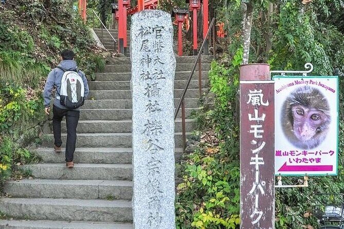 Private Day Tour - Kyoto Arashiyama & Bamboo Forest Perfect Tour! - Monkey Park Iwatayama: monkeys, walking, and a Kyoto panorama