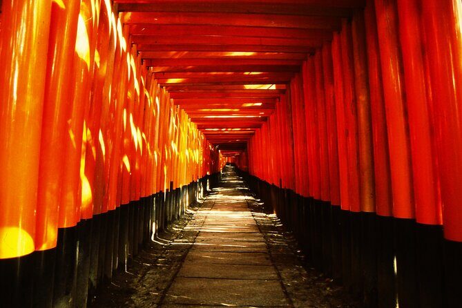 Private eBike Tour Exploring Fushimi with Torii Red Gate Ride - Key points worth your attention