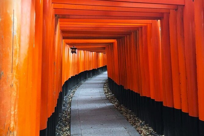 Private eBike Tour Exploring Fushimi with Torii Red Gate Ride - Fushimi-Inari-taisha: walking the torii paths with real context