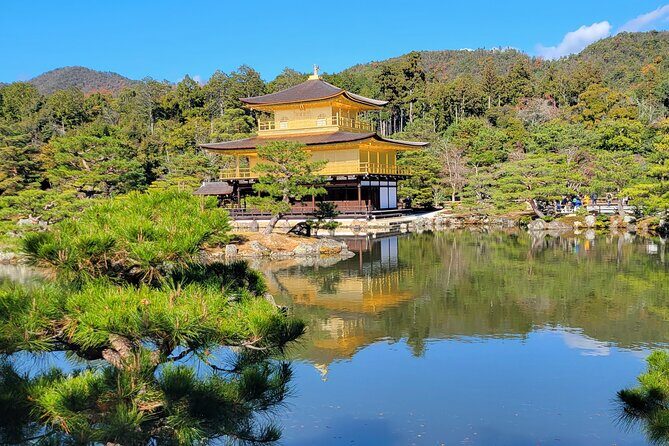 Private Guided Historical Sightseeing Tour in Kyoto - Stop 5: Nishiki Market Shopping District for Smart Kyoto Food Stops