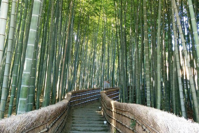 Private Highlights of Kyoto Tour - Key things that make this Kyoto day tour worth your time