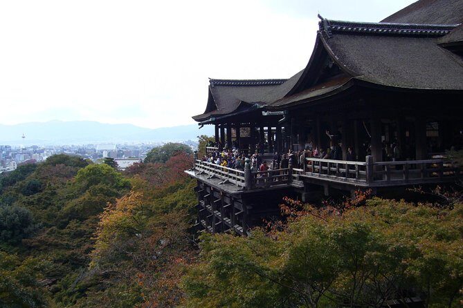 Private Highlights of Kyoto Tour - Fushimi Inari and the red torii climb: plan for steps