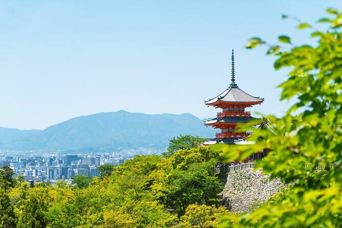 Private Kyoto Customizable Day Tour with English Speaking Driver - Fushimi Inari-taisha: Torii Gates, Momentum, and Shoe Choice