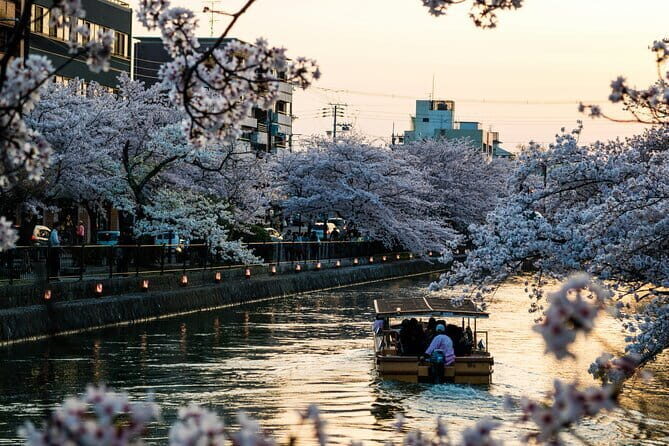 Private Kyoto Customizable Day Tour with English Speaking Driver - Arashiyama Bamboo Grove Area: A Calm Start in Kyoto’s West