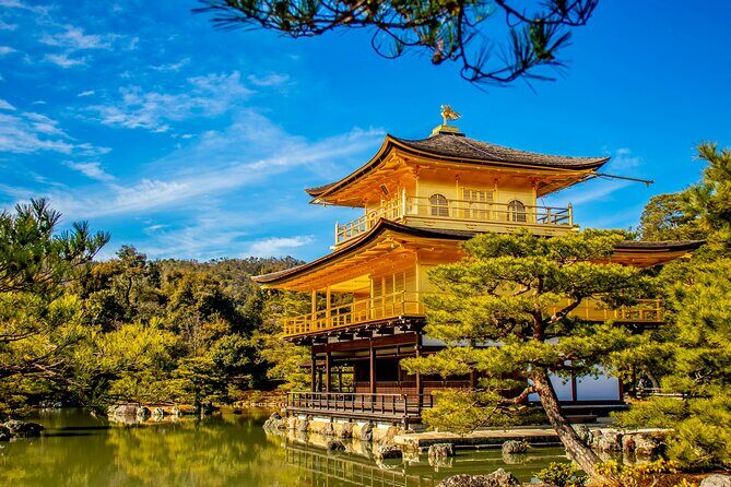 Private Kyoto Customizable Day Tour with Guide and Vehicle - Fushimi Inari Torii Gates: The Walk You’ll Remember