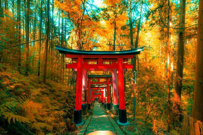 Private Kyoto Customizable Day Tour with Guide and Vehicle - Your 10-Hour Route: What You’ll Do (and What to Expect)