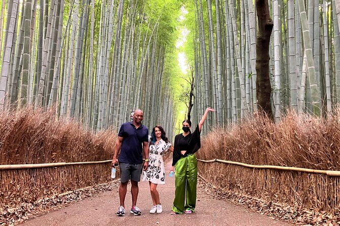 Private Kyoto Tour with Licensed Guide & Vehicle (Max 15 persons) - Gion, Nishiki Market, and Pontocho for the Kyoto mood