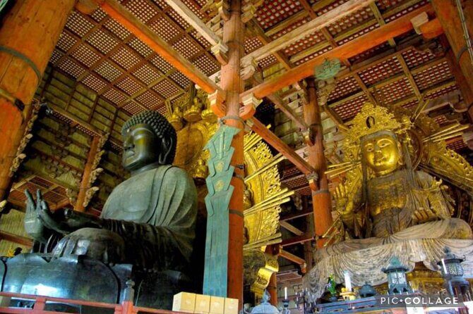 Private Tour Kyoto-Nara w/Hotel Pick Up & Drop off from Kyoto - Kinkaku-ji (Golden Pavilion): worth it, but plan the fee