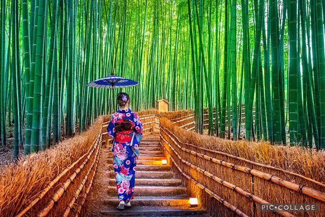 Private Tour Kyoto-Nara w/Hotel Pick Up & Drop off from Kyoto - Nara Park deer feeding: short time, big energy