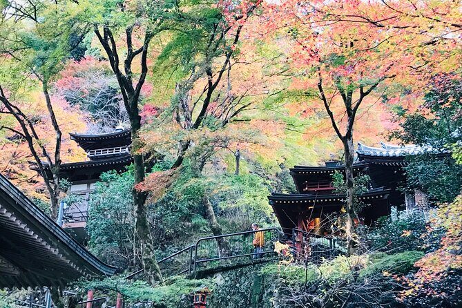 Private Walking Tour in Bamboo Forest & Hidden Spots in Arashiyama - Entering Sagano: the aristocrat-era Kyoto vibe you can still feel