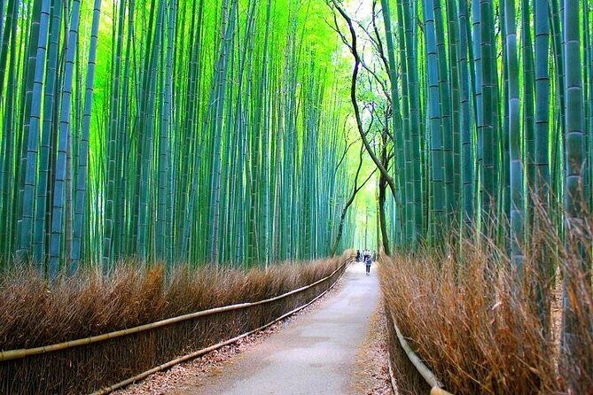 Private Walking Tour in Bamboo Forest & Hidden Spots in Arashiyama - Bamboo Forest Street in Arashiyama: how to enjoy it even when it’s packed