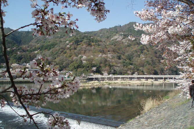 Private Walking Tour in Bamboo Forest & Hidden Spots in Arashiyama - Private guide and simple flow: how the 4-hour format works