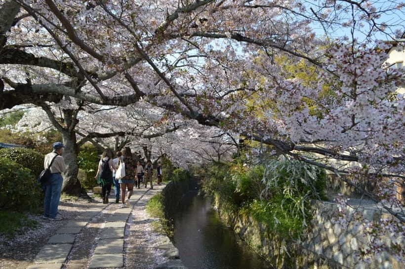 Sacred Pathways: Discover the Philosopher's Path of Kyoto - Key highlights worth planning around