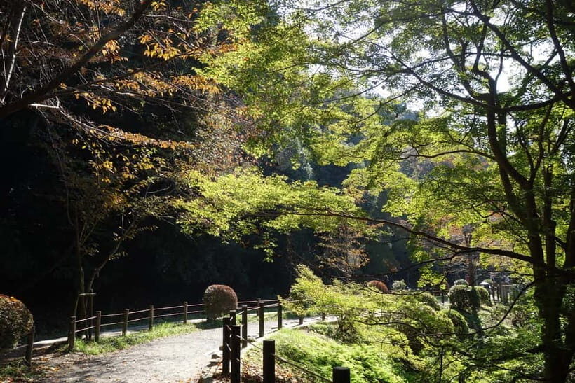 Sacred Pathways: Discover the Philosopher's Path of Kyoto - Who this tour fits best (and who should reconsider)