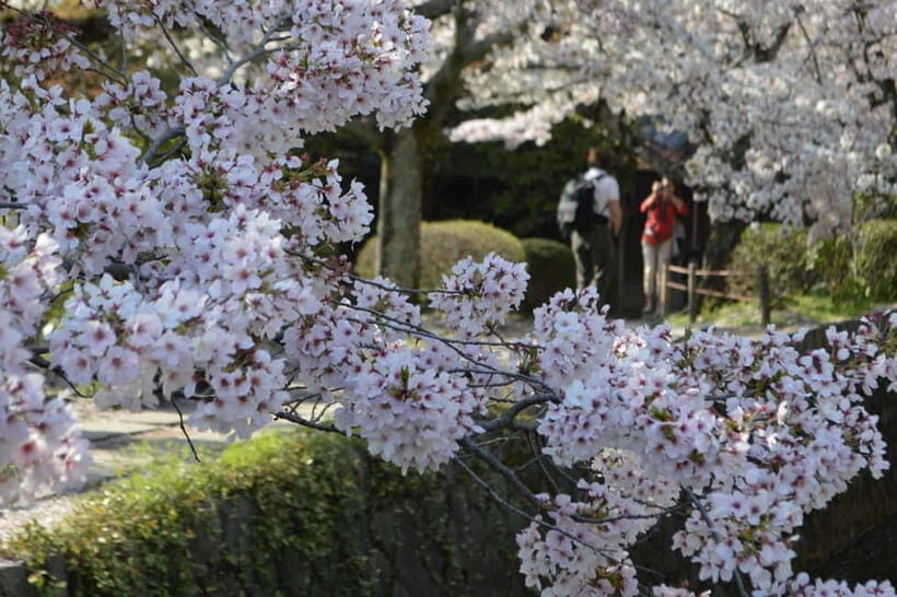 Sacred Pathways: Discover the Philosopher's Path of Kyoto - The Zen garden logic at Ginkakuji (Silver Pavilion)
