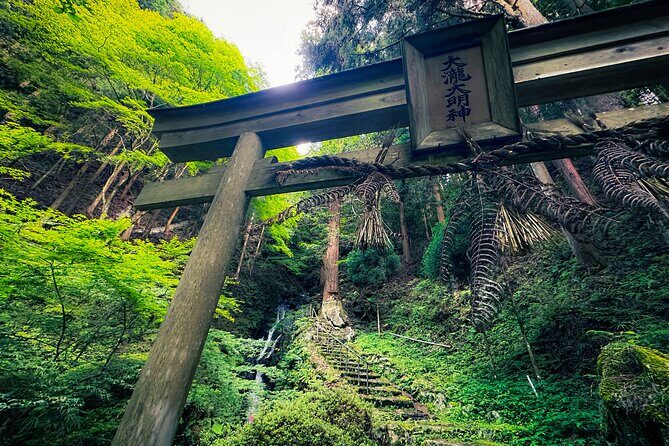 Scenic Green Tea Fields of Hidden Kyoto & Local Tea Exp (Private) - Why Wazuka and Ujitawara feel different from central Kyoto