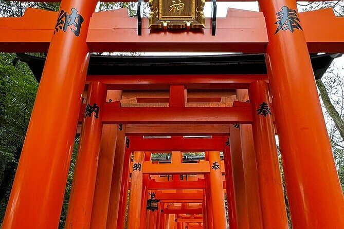 Single- & multi-day Adventures within Kyoto Nara Osaka Kobe - Key things I’d bank on before you book